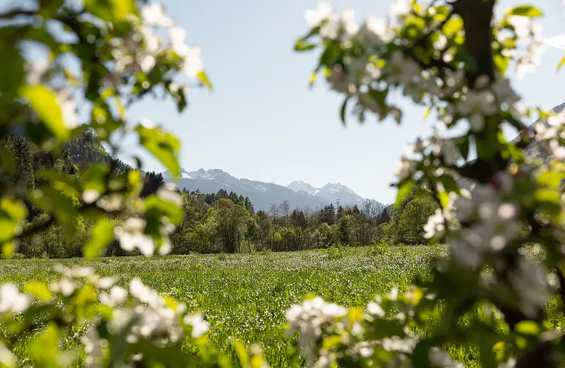 val di sole estate